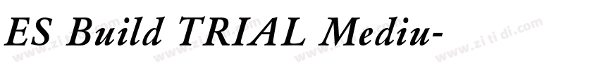 ES Build TRIAL Mediu字体转换